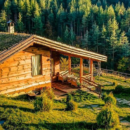 Панорама Хаус Лещен И Еко Къщи Дървена И Землянка Exteriör bild