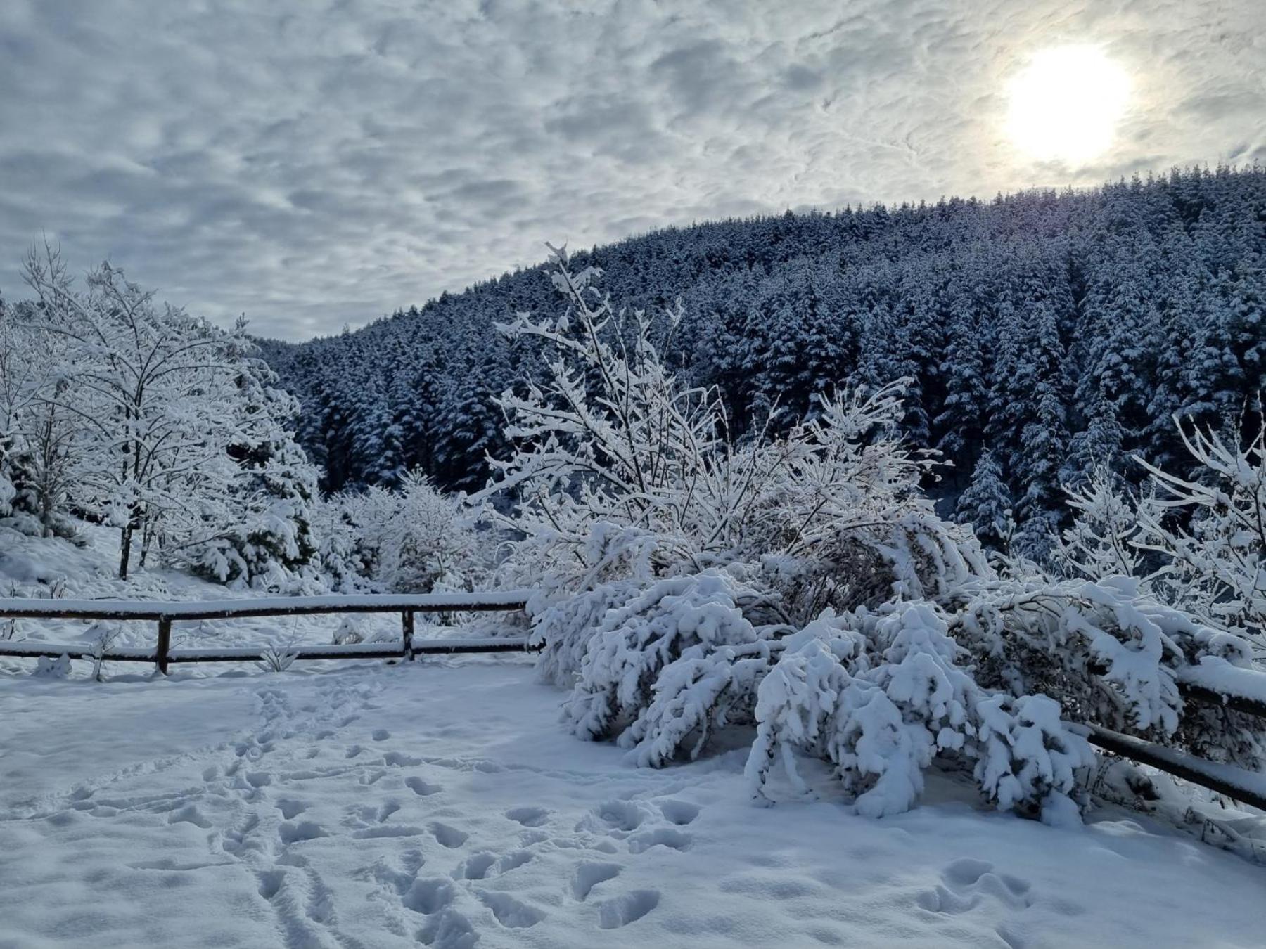 Панорама Хаус Лещен И Еко Къщи Дървена И Землянка Exteriör bild