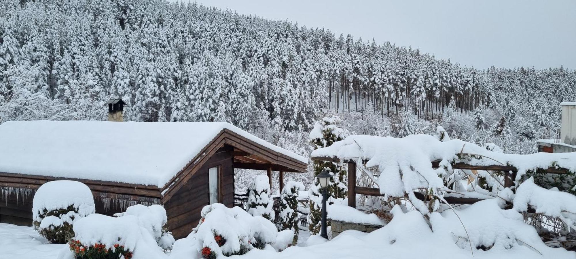 Панорама Хаус Лещен И Еко Къщи Дървена И Землянка Exteriör bild