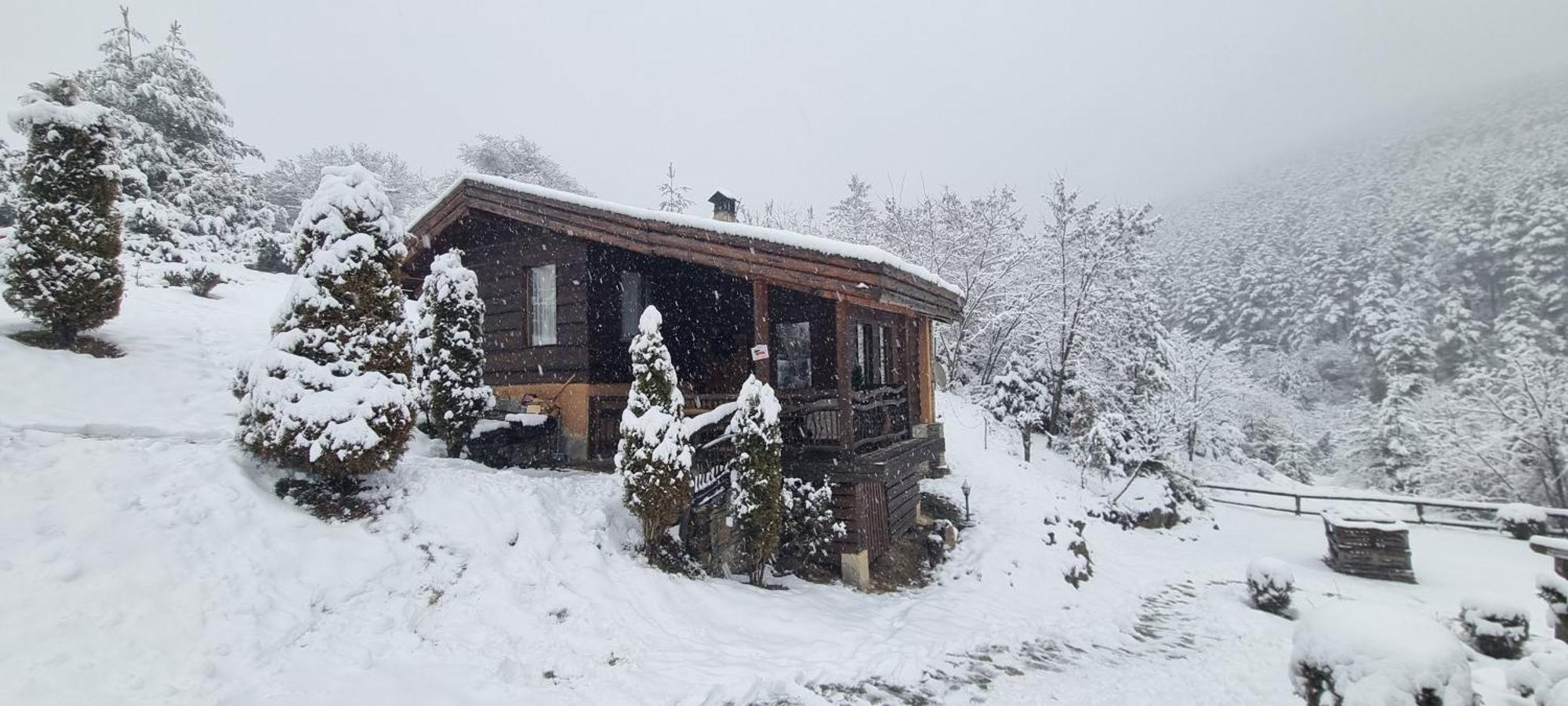 Панорама Хаус Лещен И Еко Къщи Дървена И Землянка Exteriör bild